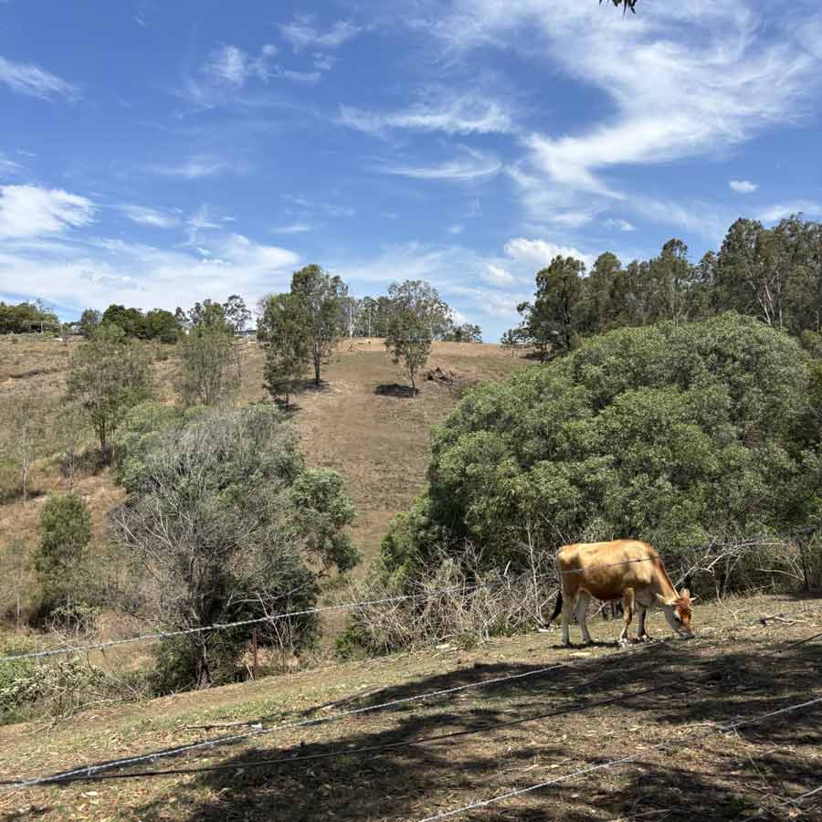 respite cottage brisbane