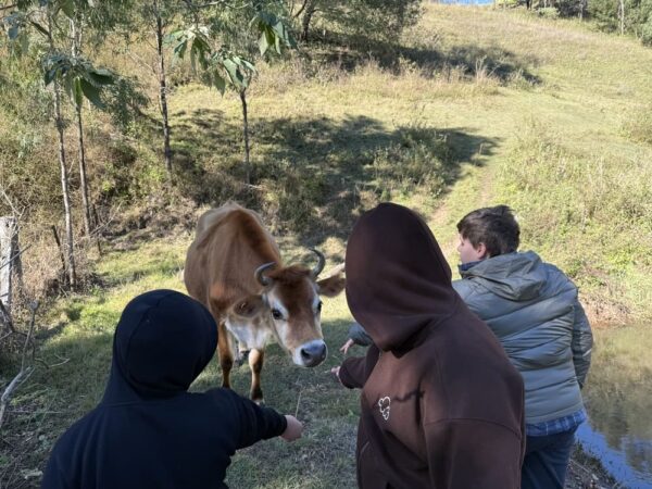 Making friends making friends